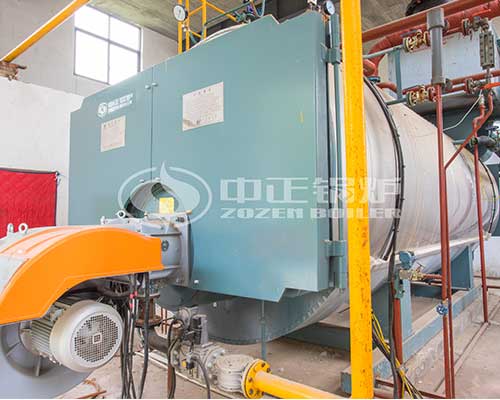 4 Ton Gas Fired Boilers for Hospital