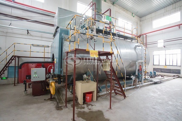 WNS 4 ton Natural Gas Steam Boiler