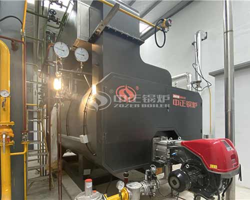 WNS Horizontal 6t Oil Diesel Fuel Steam Boiler