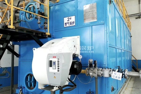 SZS Condensing Gas Boiler For Cable Industry
