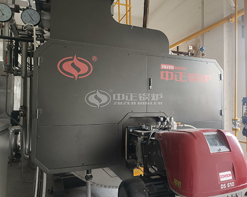 Gas Steam Boiler For Chemical Industry