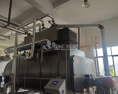 industrial steam boiler gas fuel