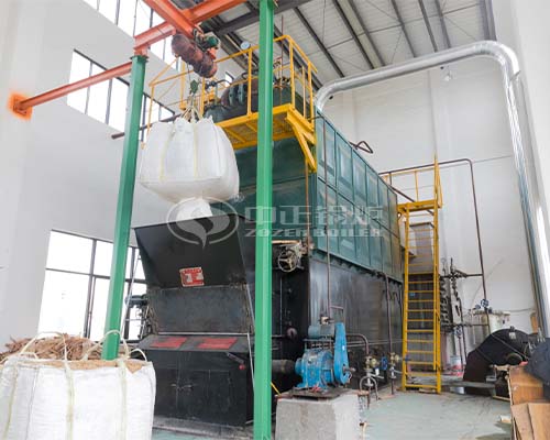 coal biomass fuel water tube boiler