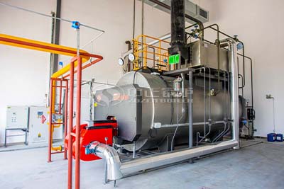 2tph gas fired steam boiler