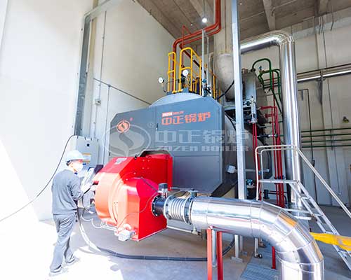 Low Pressure Gas Steam Boiler