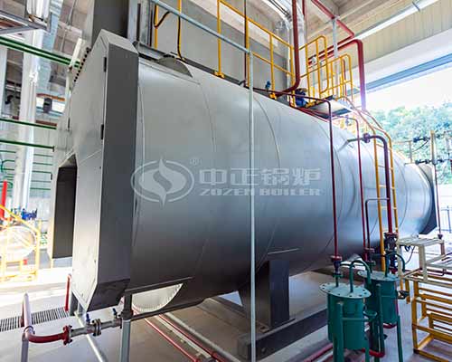 Biogas Fuel Steam Boiler Price