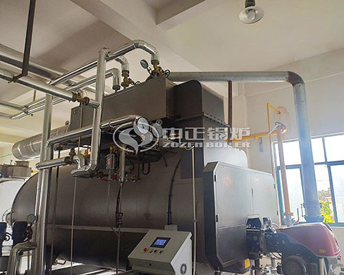 industrial oil gas fired boiler site