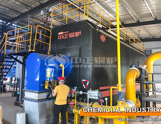 Chemical Industry 30 Tons Gas Fired Steam Boiler