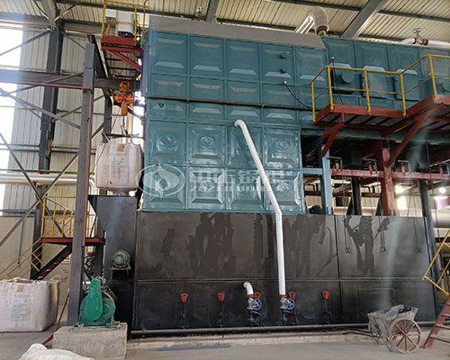 15 ton biomass fuel steam boiler
