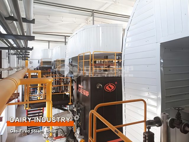 ZOZEN Steam Boiler for Milk Processing