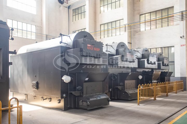 biomass boiler system