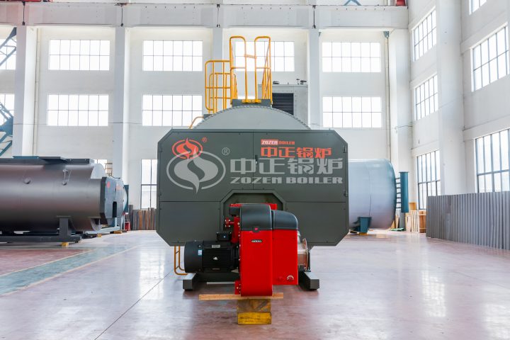 6 tph boiler