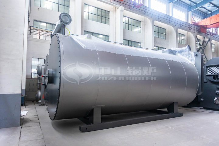 thermal fluid heater