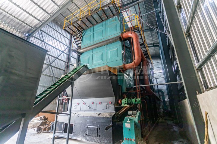 biomass fuel boiler