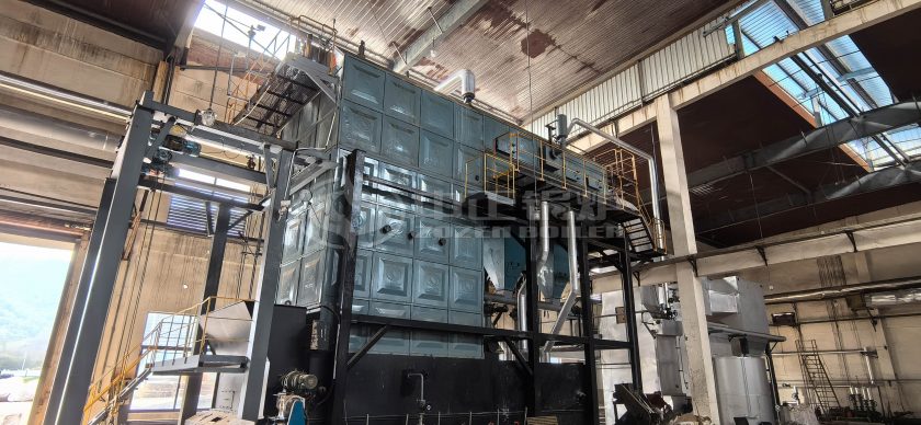 biomass boiler plant