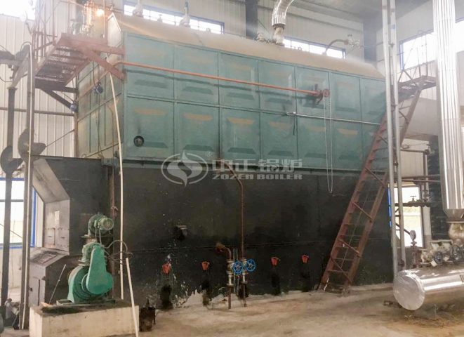 biomass fuel boiler
