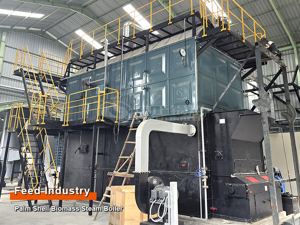 10-Ton Palm Shell Biomass Steam Boiler 