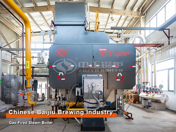 18-Ton WNS Series Gas-fired Steam Boiler
