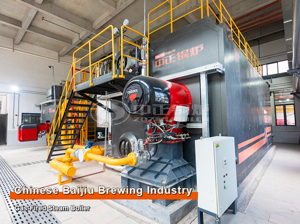 18-Ton Gas-fired Steam Boiler