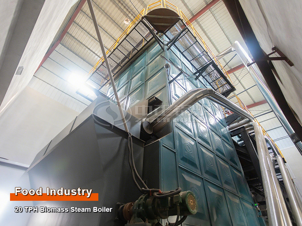 20 Tph Biomass Steam Boiler