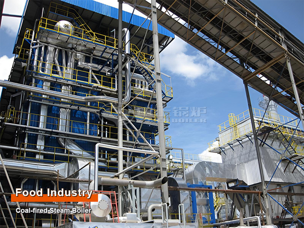 boiler manufacturer indonesia