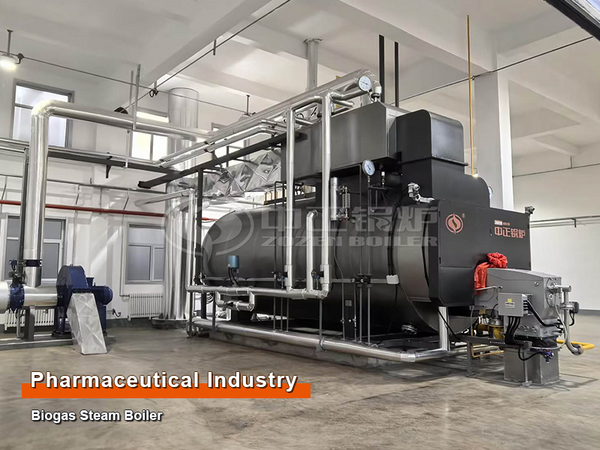 biogas boilers