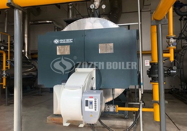 Gas steam boiler for water treatment