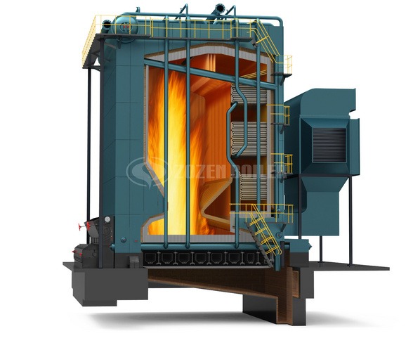 DHL Series Biomass Fired Steam Boiler