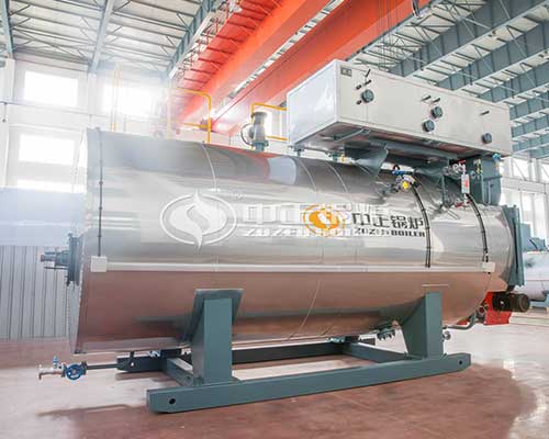 Gas Steam Boilers For Food Factory