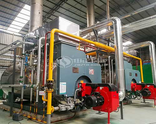 Gas Fired Steam Boiler to Zambia