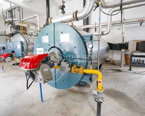 Gas Fired Thermal Oil Boilers Supplier