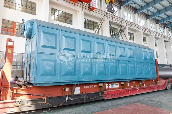 Large Horizontal 6t/h Coal-Fired Steam Boiler