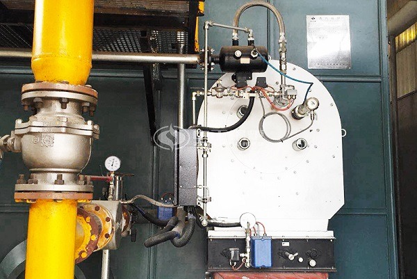 20 Tons SZS Condensing Gas Boiler Used in Paper Mill