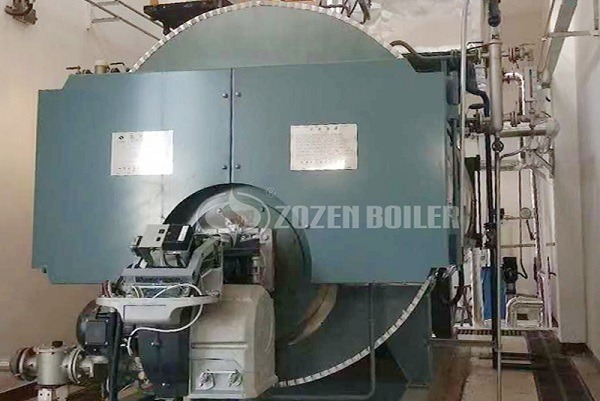 Gas Steam Boiler For Garment Factory