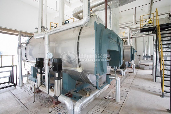 WNS 3 Ton Gas Steam Boiler For Textile Mill
