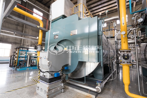 Natural Gas Steam Boiler in Malaysia