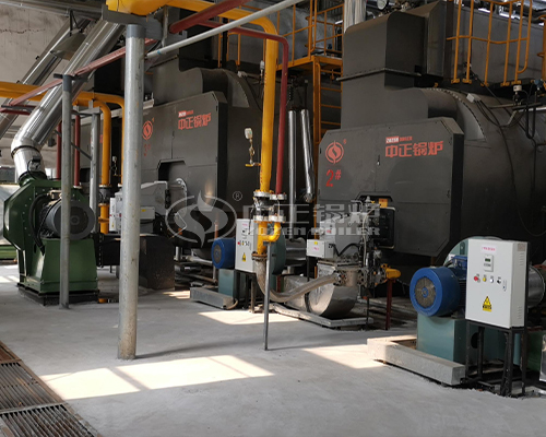 gas steam boiler in packaging factory