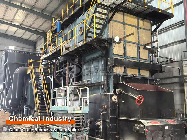 6 Tons Horizontal Chain Grate Biomass Steam Boiler for Chemical Industry